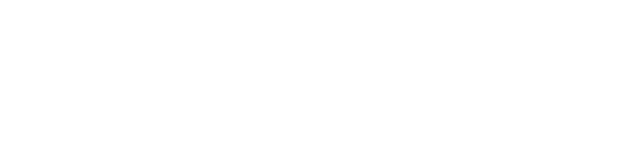 Профилирана гимназия за изобразителни изкуства „Професор Николай Райнов“